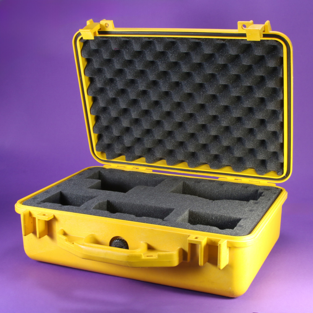 Pelican Case - Medium
