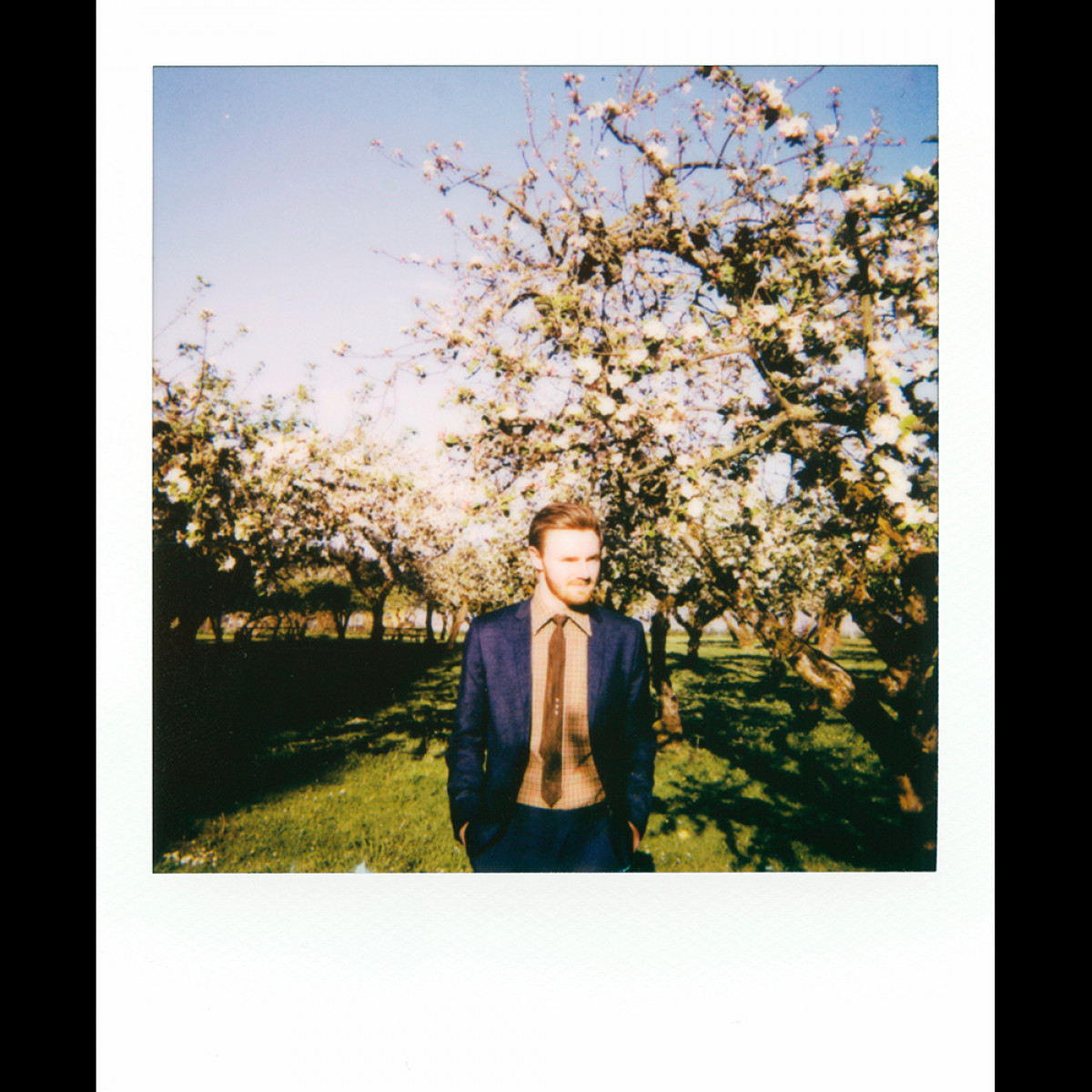 Polaroid Color i-Type Film - 8 Instant Photos