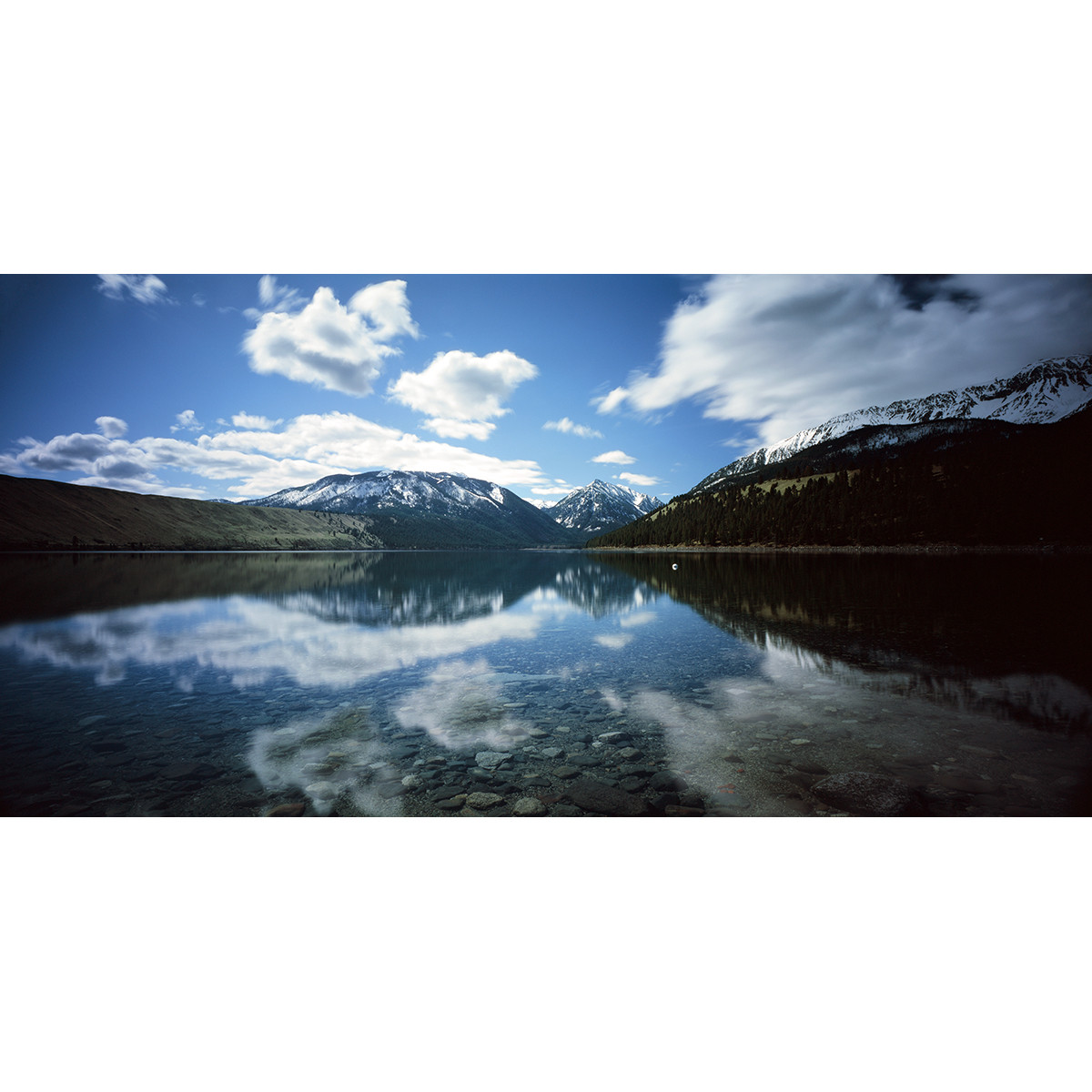 Fuji Provia 100F Film - 120 Single Roll