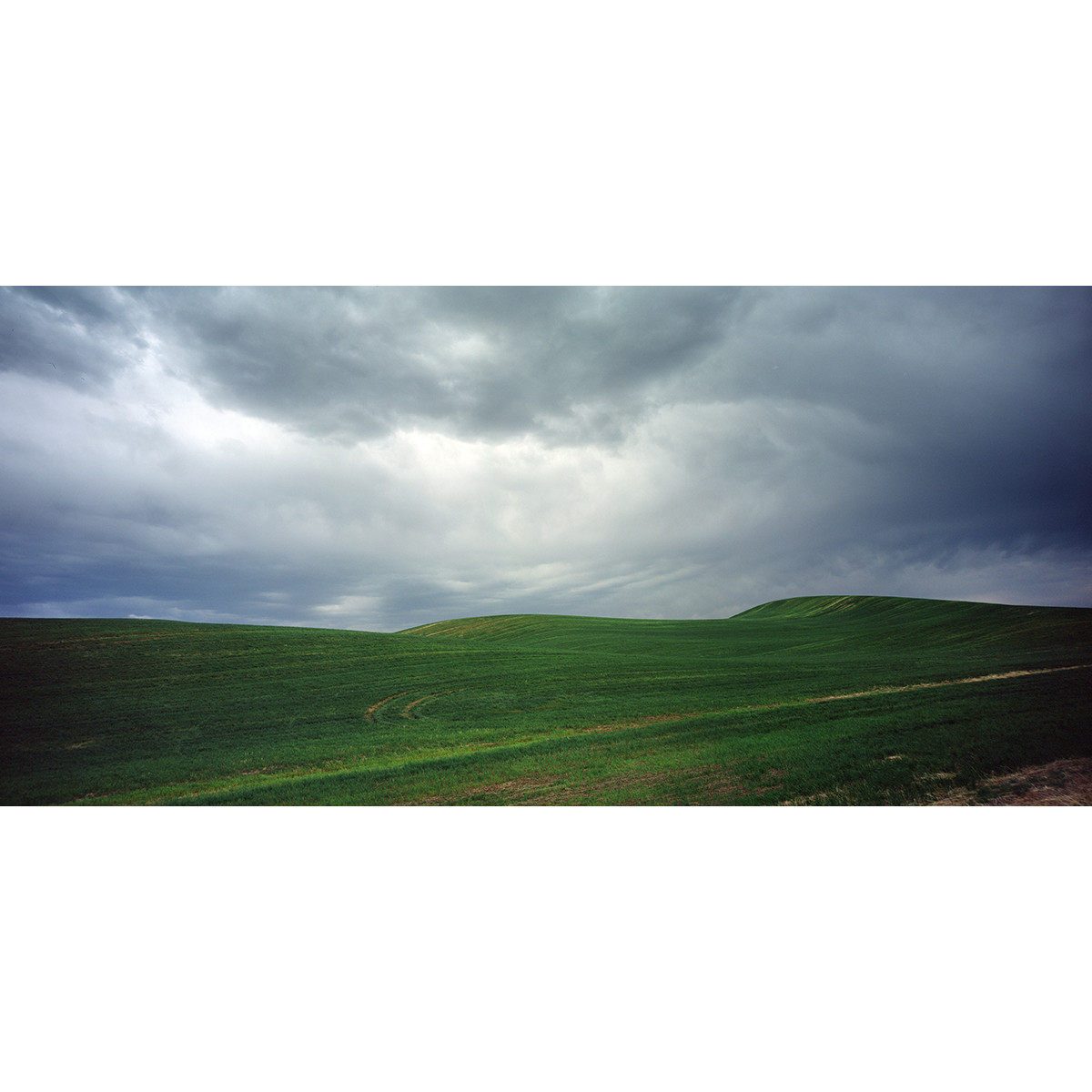 Fuji Provia 100F Film - 120 Single Roll