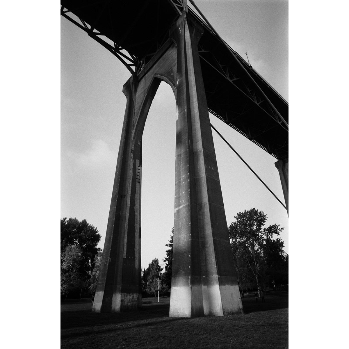 Agfa APX 100 35mm Film - 36 Exposures