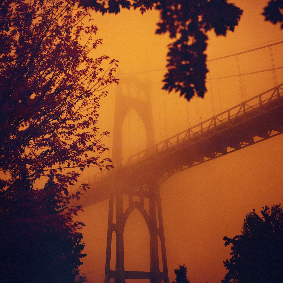 Lomography Redscale XR 50-200 Film - 120 Single Roll