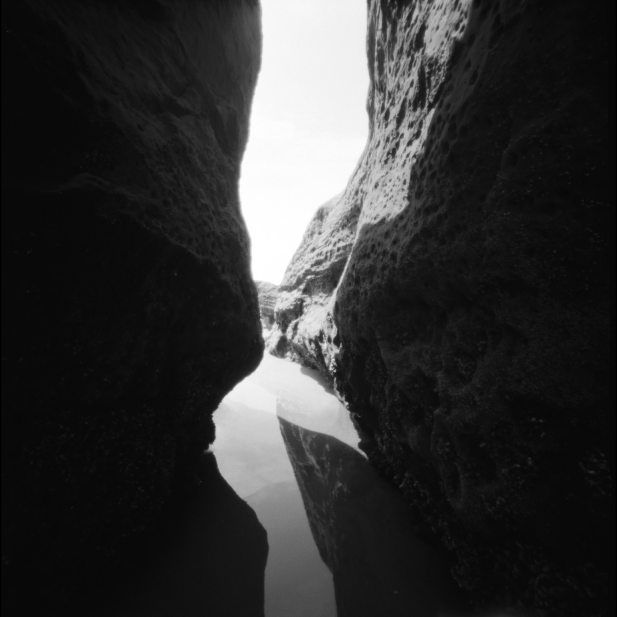 Kentmere Pan 100 Film - 120