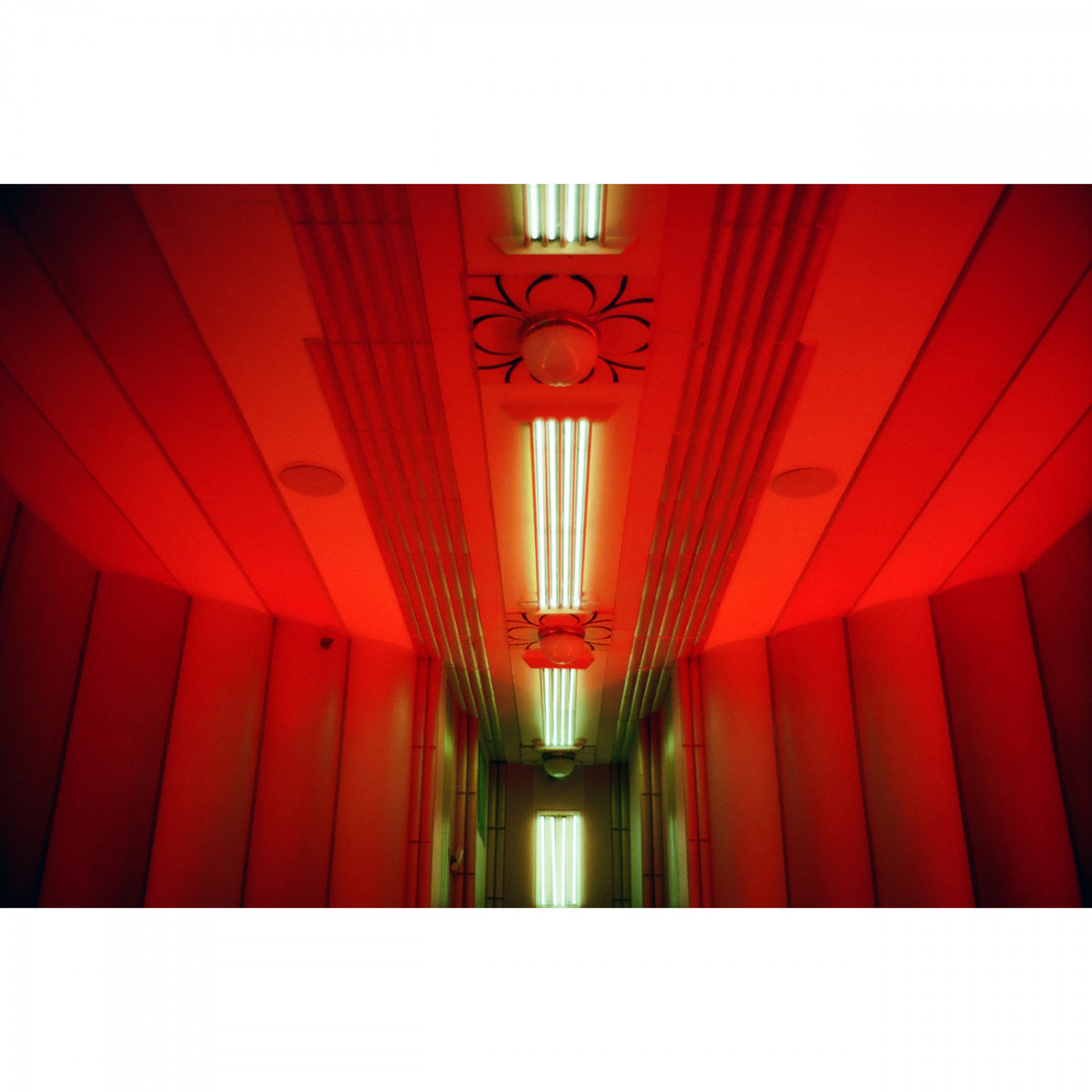 Cinestill 400D Film - 35mm