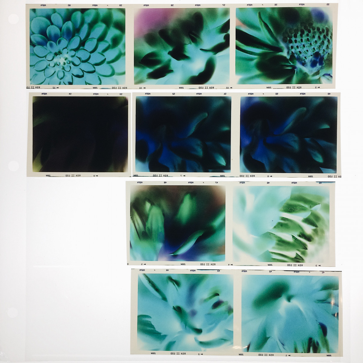 Cross Processing of 120 film