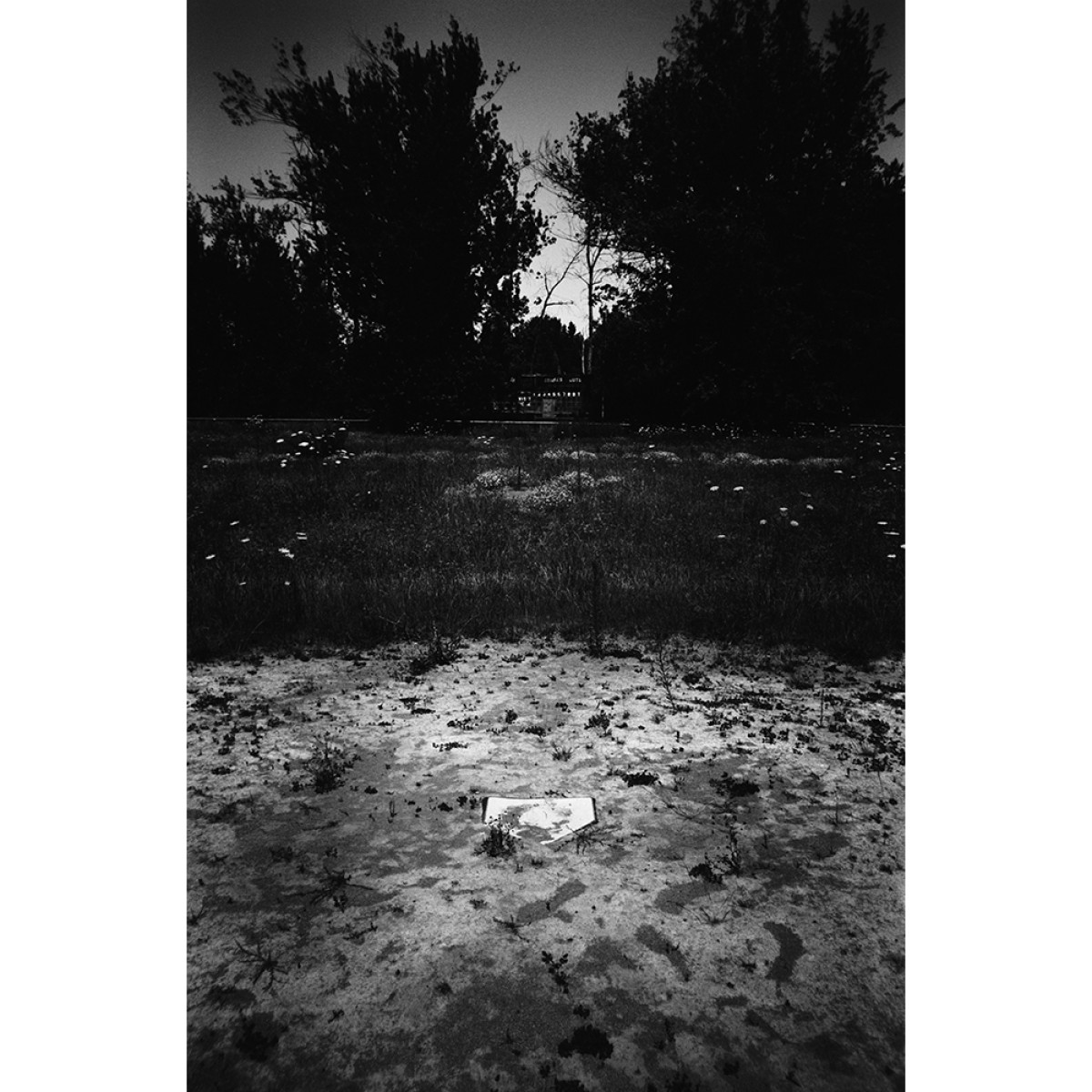 Ferrania Orto Film - 36 Exposures