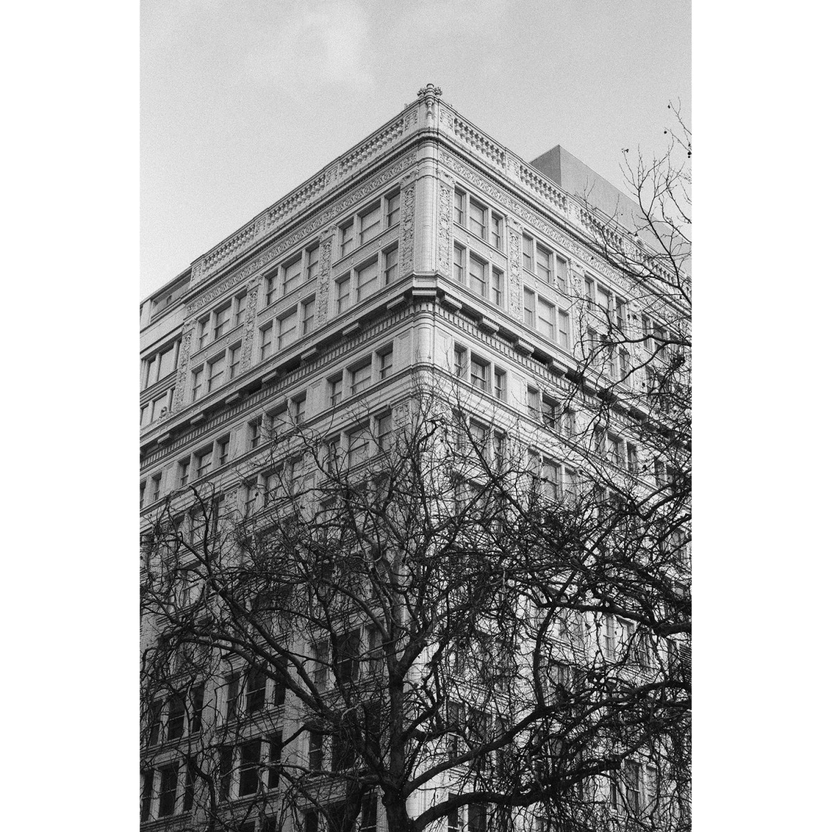 Lomography Lady Grey 400 35mm Film - 36 exposures