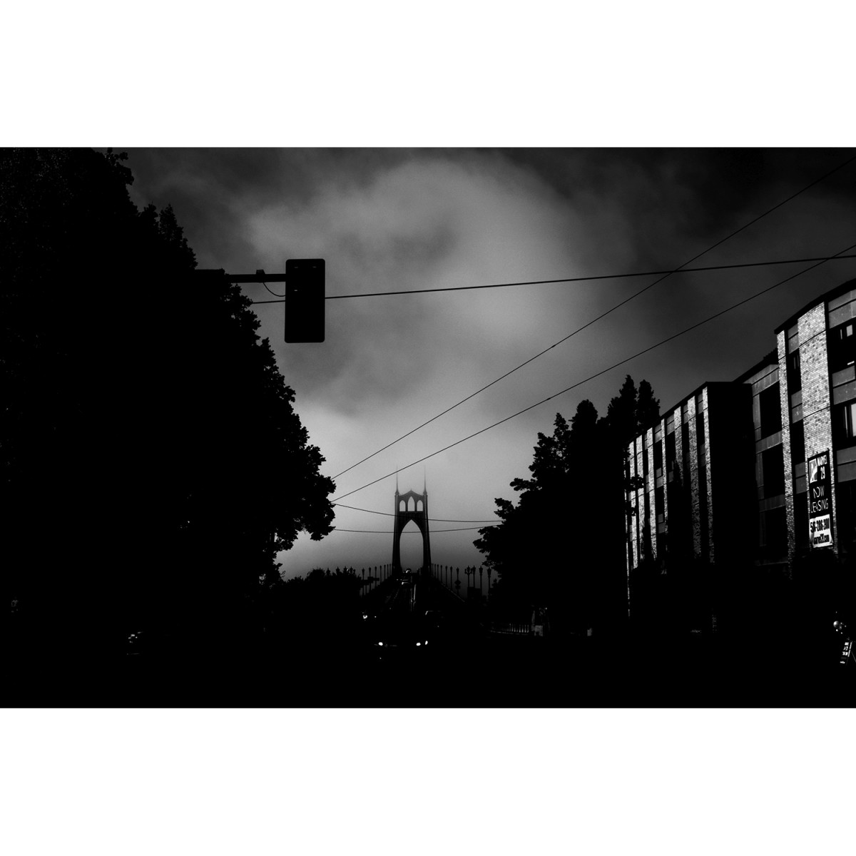 NLA - Adox CMS 20 II Pro Film - 36 Exposures