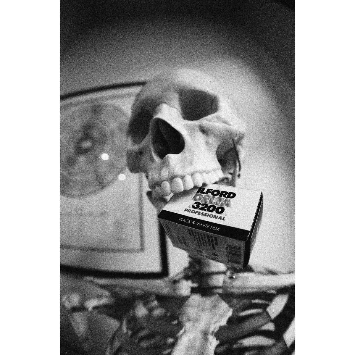 Coming Soon - Ilford Delta 3200 35mm Film - 100ft Bulk Roll