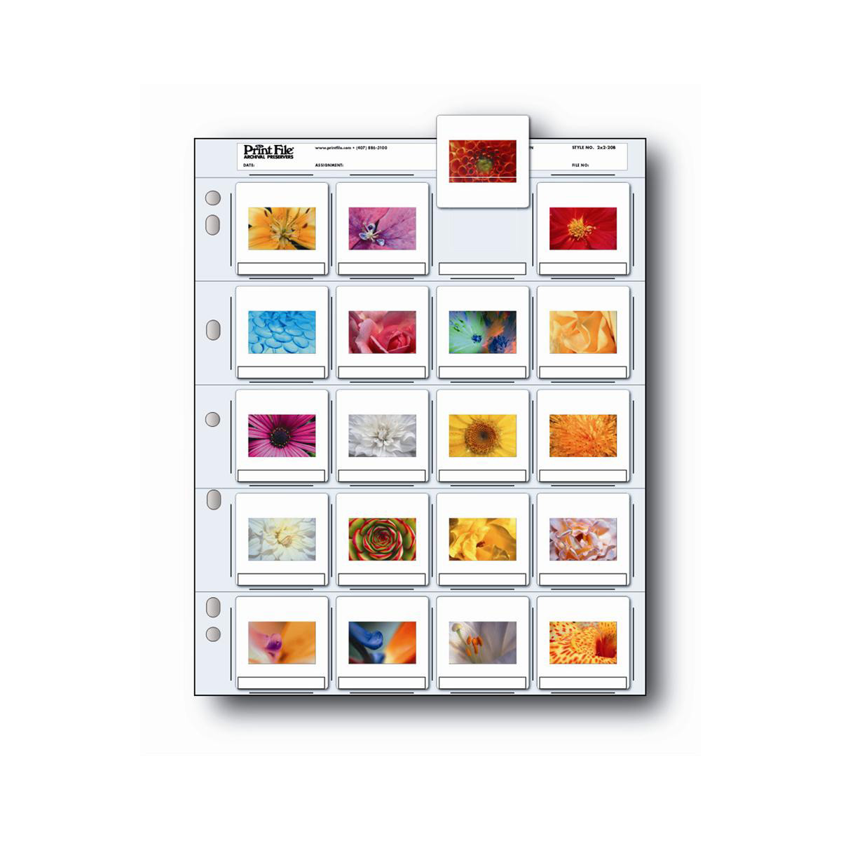 Print File 2x2-20B 35mm Slide Preserver Pages - 100 sheets