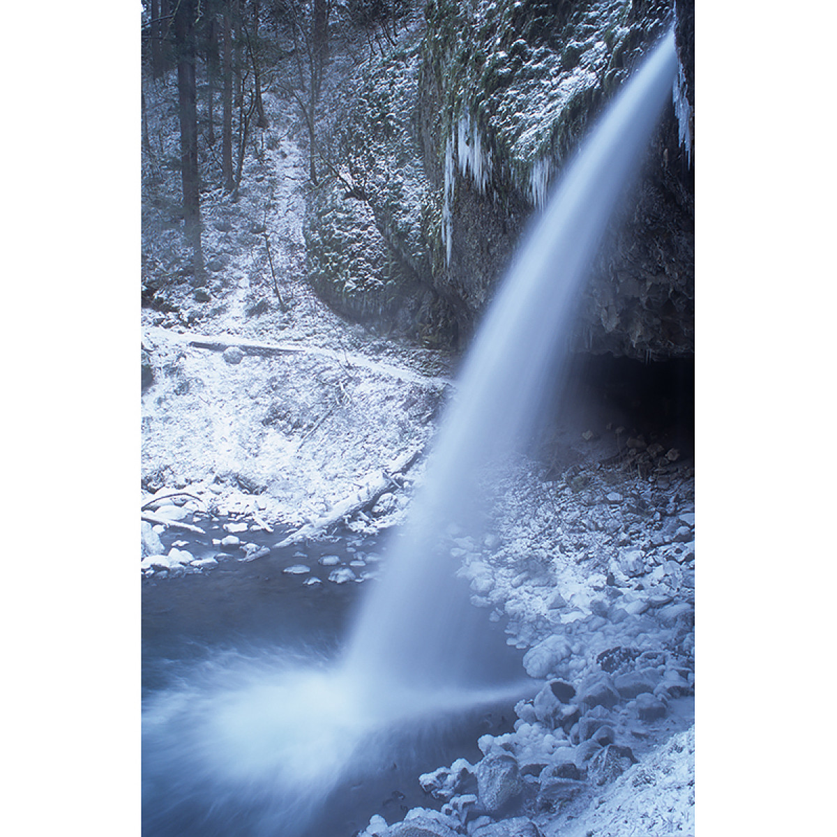 Fuji Provia 100F 35mm Film - 36 Exposures