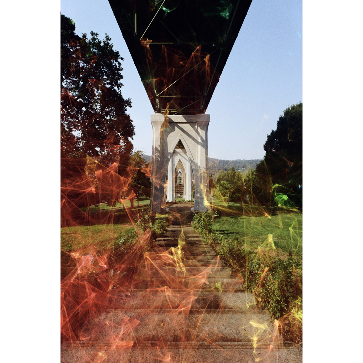 Revolog Echo 200 Experimental Film - 36 Exposures