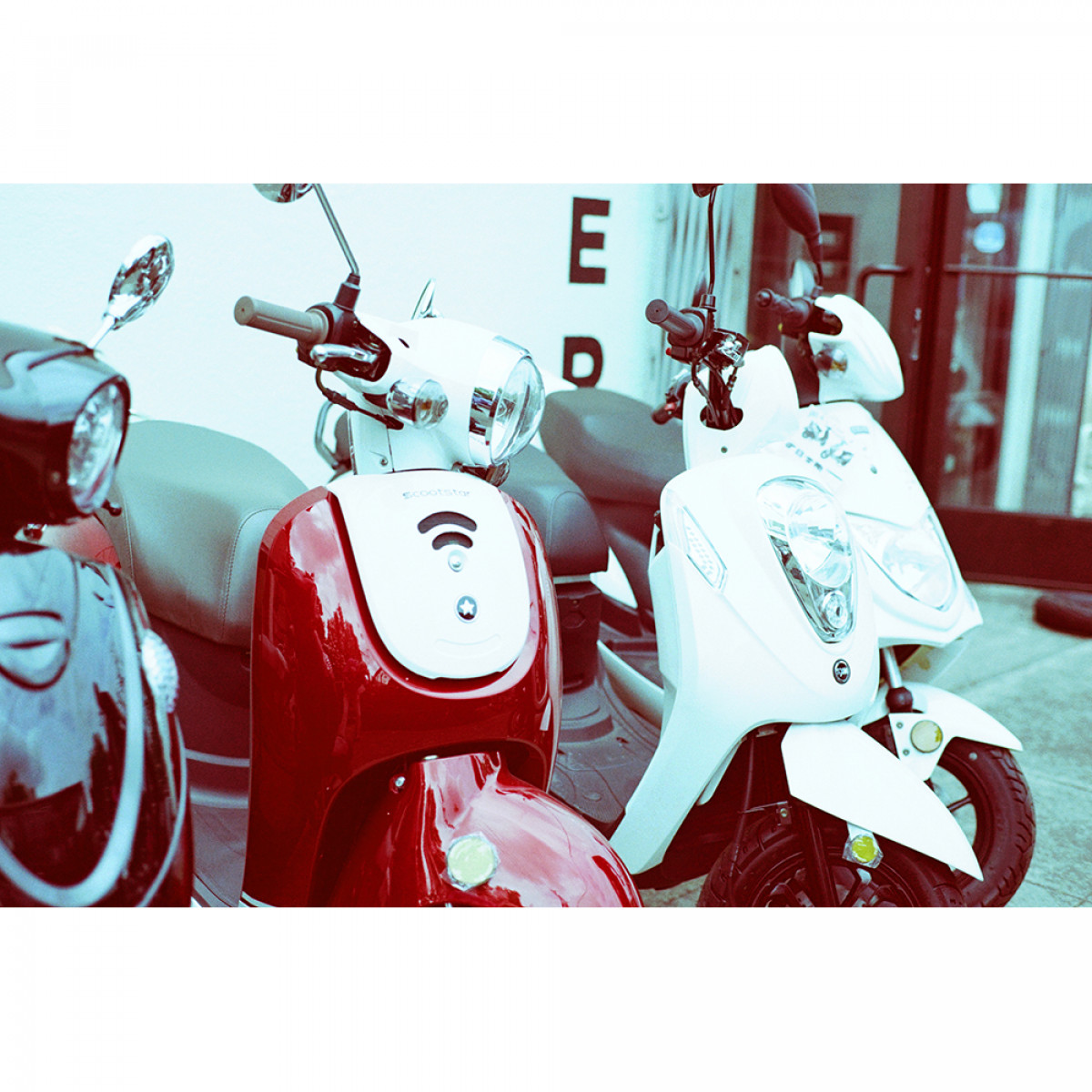 Revolog 600nm Experimental Film - 36 Exposures