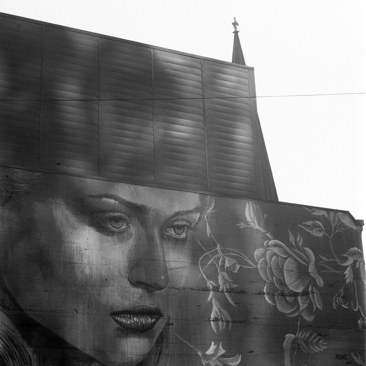 Ilford HP5+ Film - 120