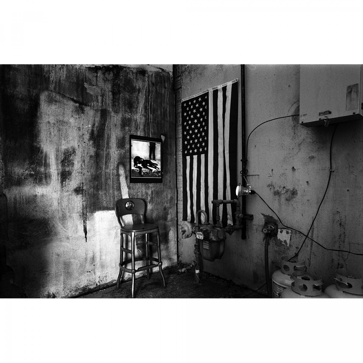 NLA - Kodak TMAX 400 35mm Film - 24 Exposures