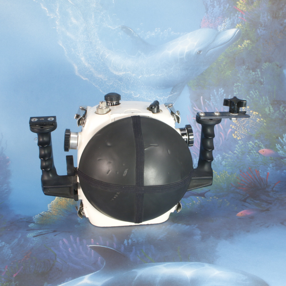 Aquatica 3N Underwater Housing for Nikon F3