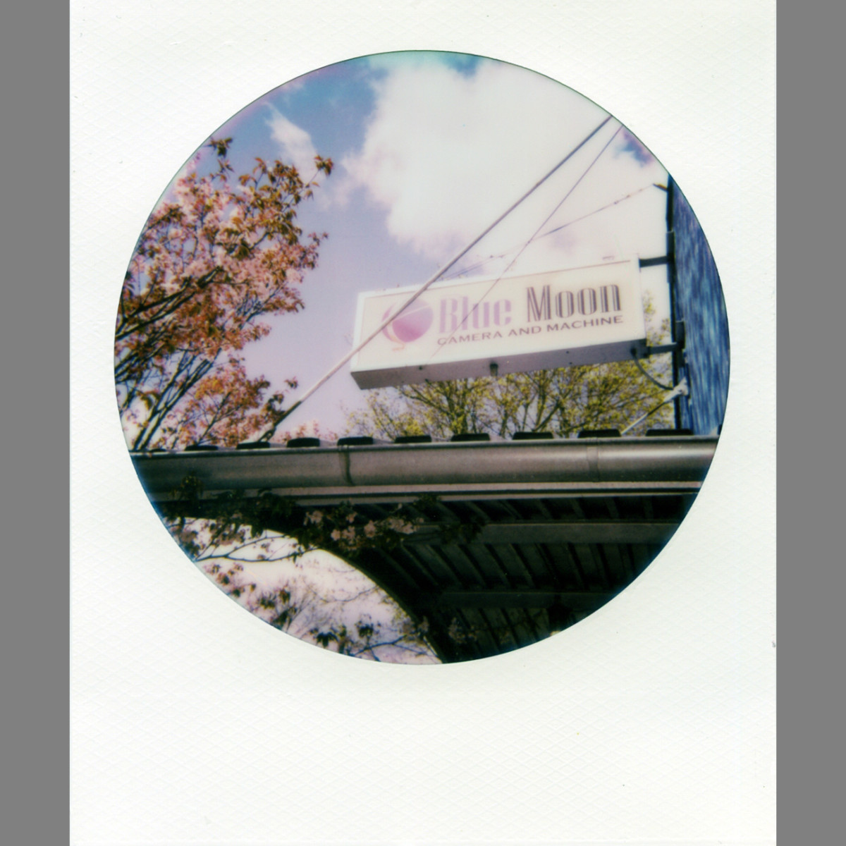 Polaroid Color 600 Film - Round Frame - 8 Instant Photos