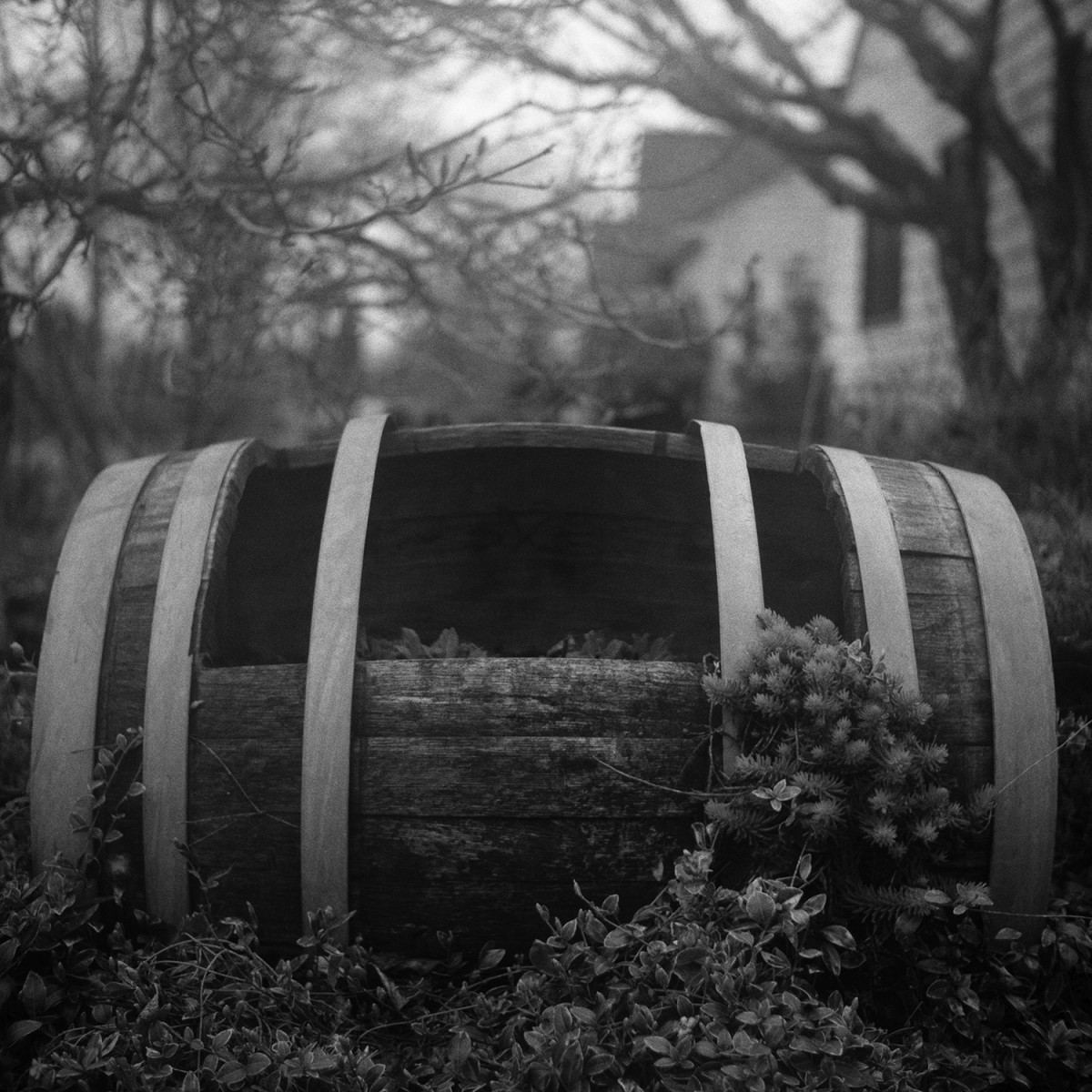 Rera Pan 400 127 Film