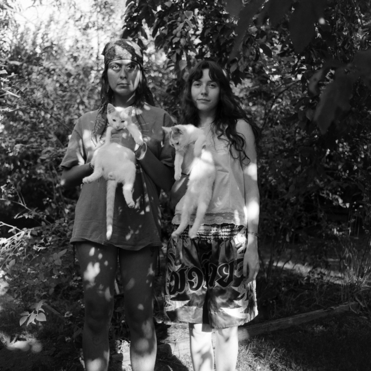 Fomapan 200 Film - 120