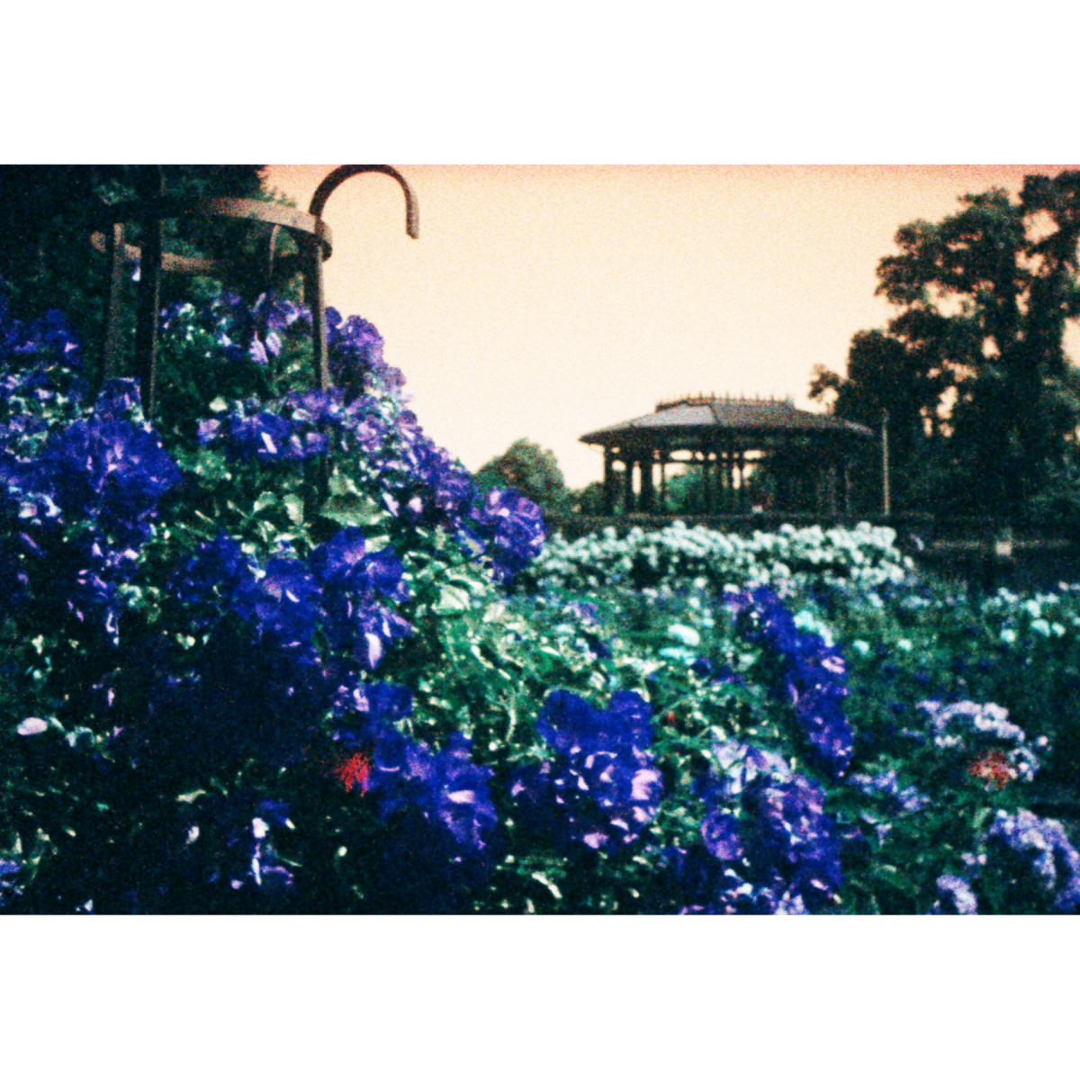 Spy Film for MINOX - Turquoise Color 400 ISO 36 Exposures