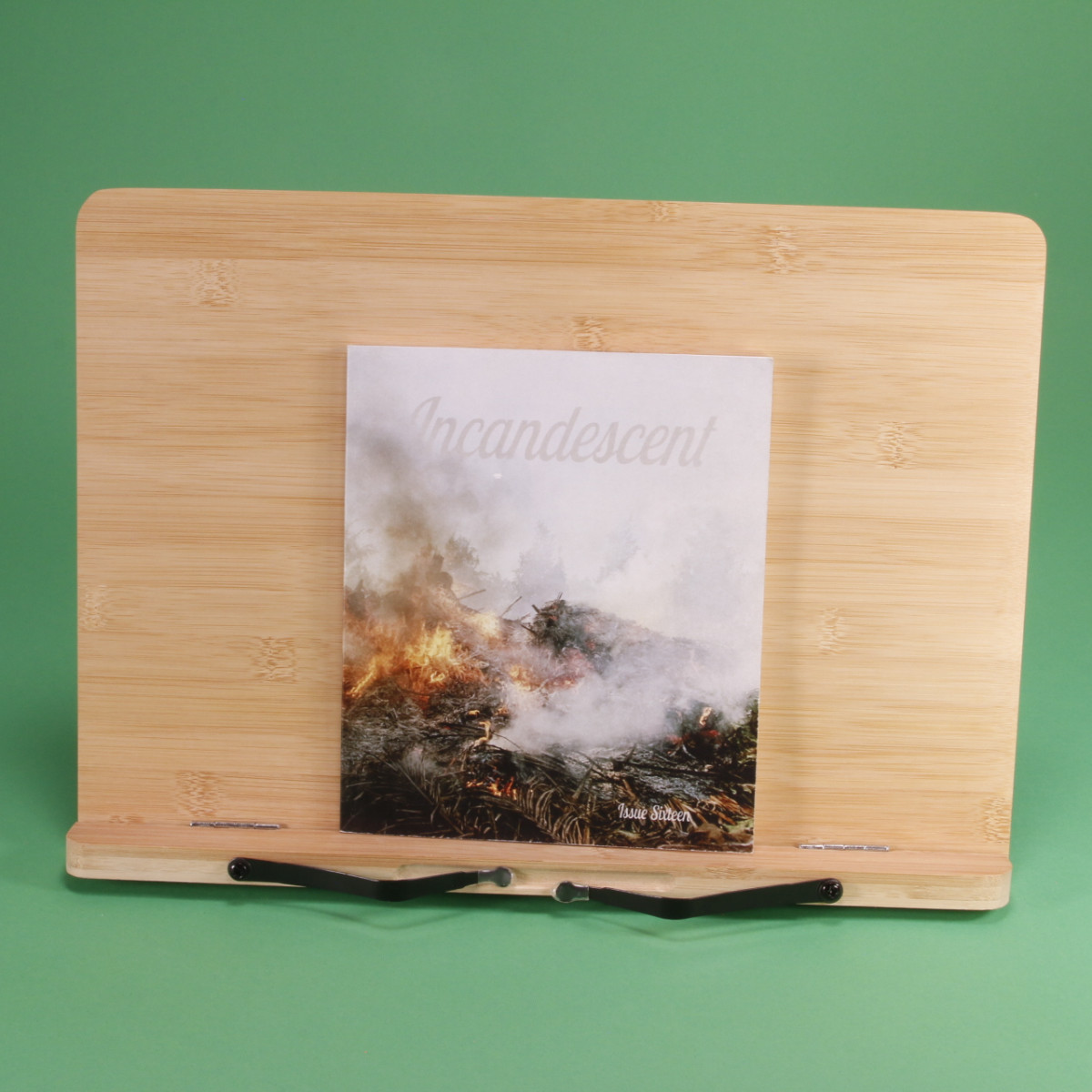 Incandescent - A Color Film Zine Issue 16