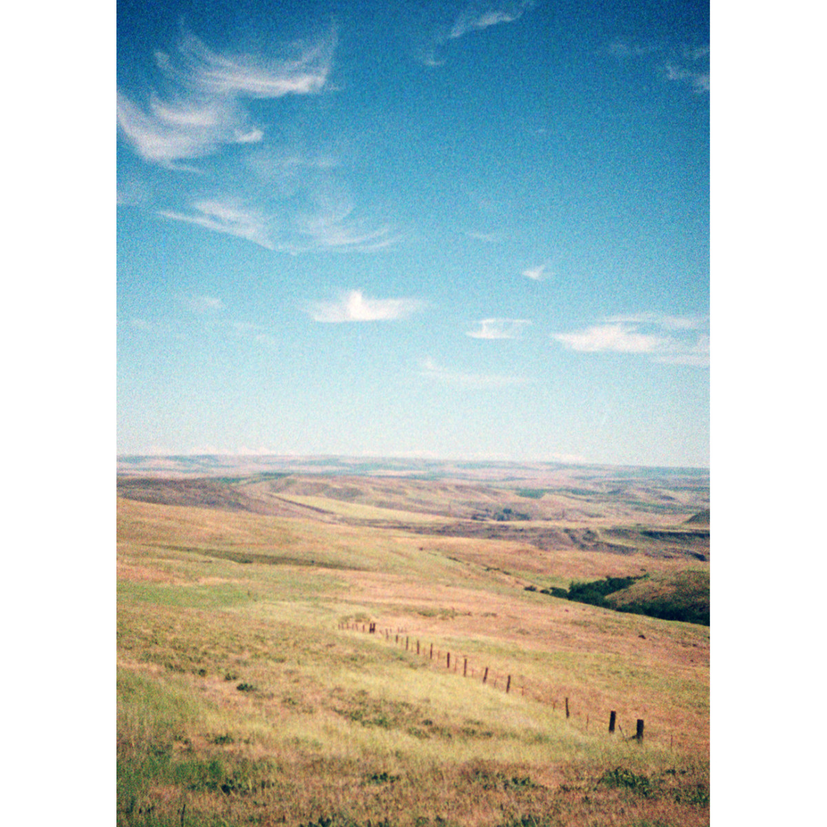 Spy Film for MINOX - Color 400 ISO 36 Exposures