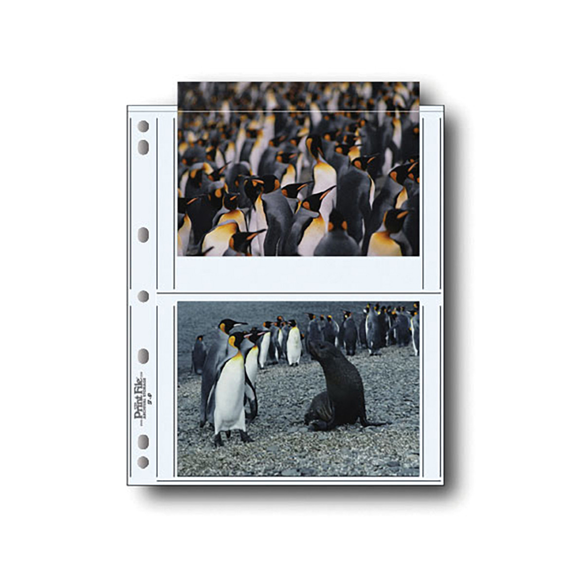 Print File 57-4P Print Preserver Pages - 25 sheets