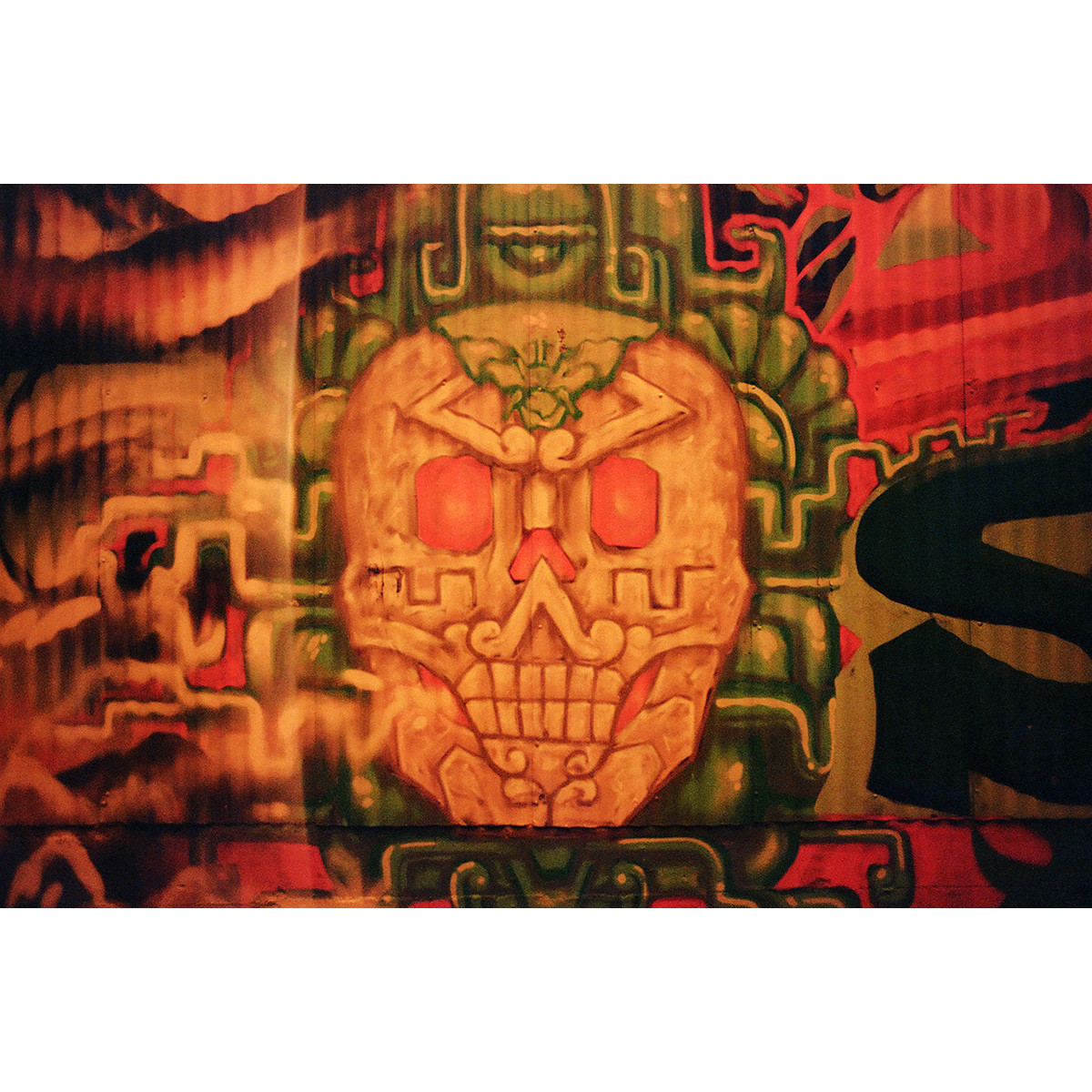 Lomography Redscale XR 50-200 Film - 35mm Single Roll