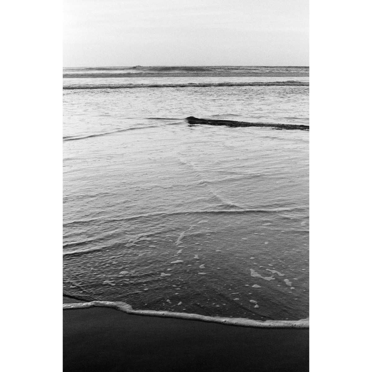 Agfa APX 400 35mm Film - 36 Exposures