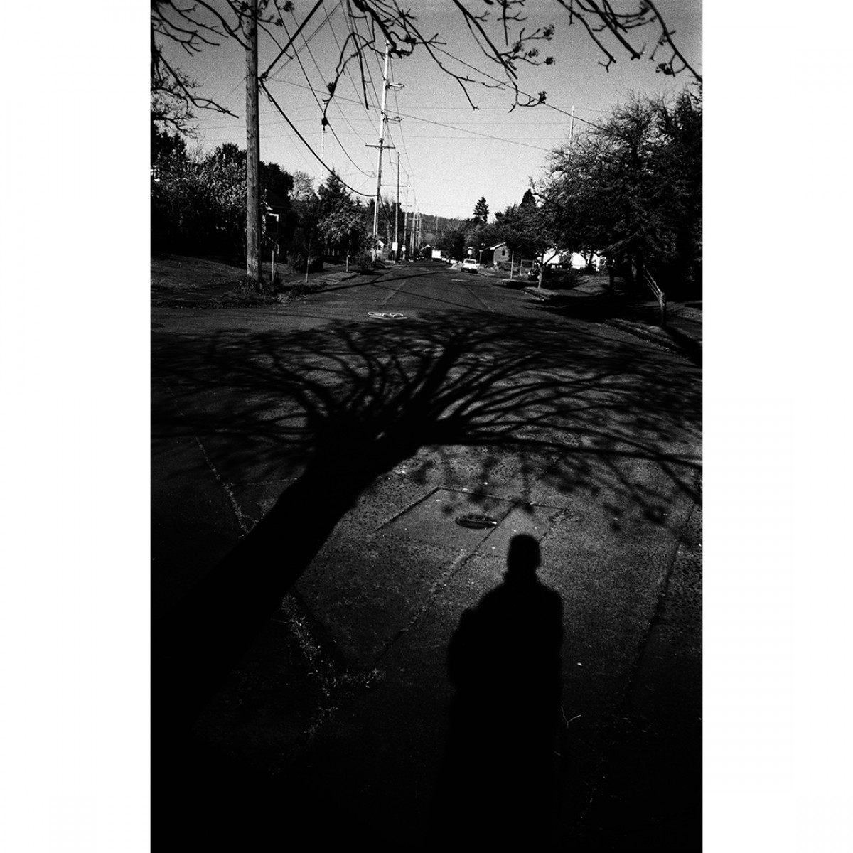 Rollei Retro 400S Film - 36 Exposures