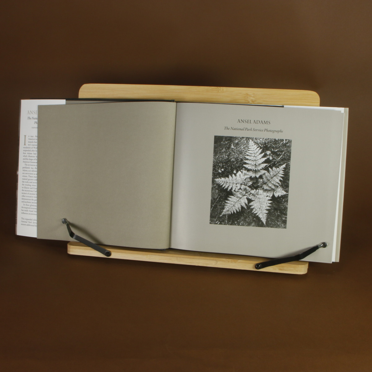 Ansel Adams The National Park Service Photographs