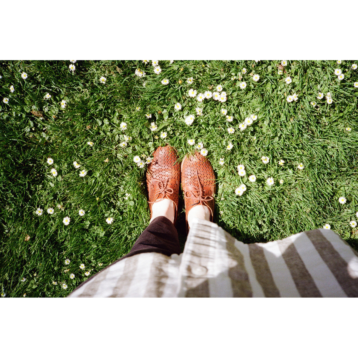Kodak Gold 200 Film - 24 Exposures