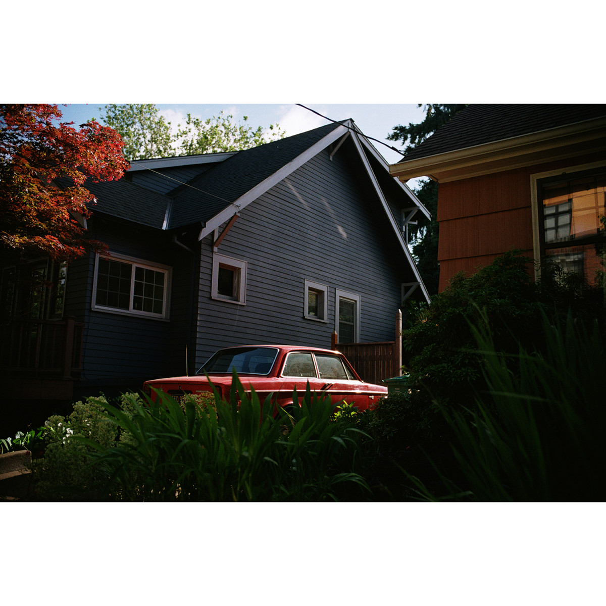Lomography Color 100 35mm Film - 36 Exposures, Single Roll
