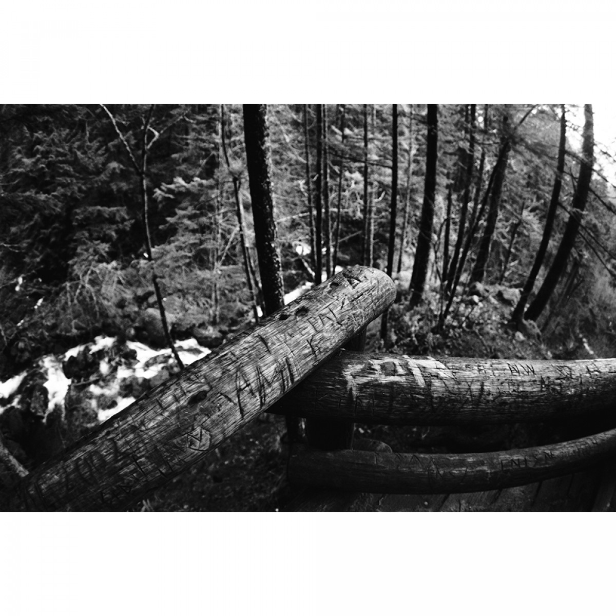 JCH Japan Camera Hunter Street Pan 400 Film - 36 Exposures