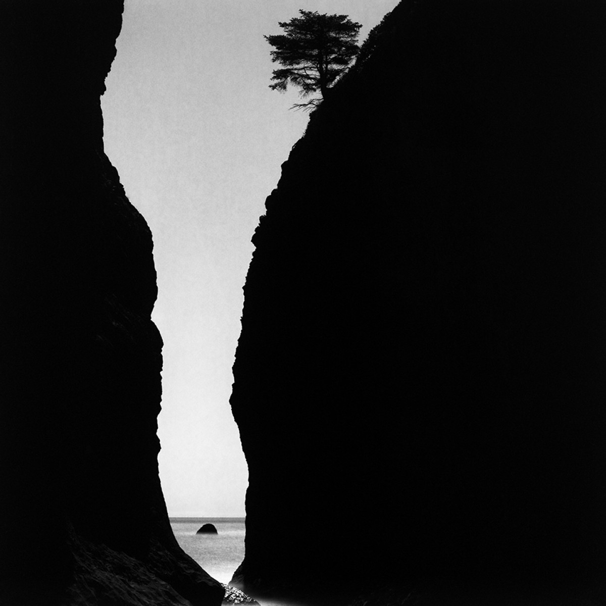 Rollei RPX 25 ISO Film - 120