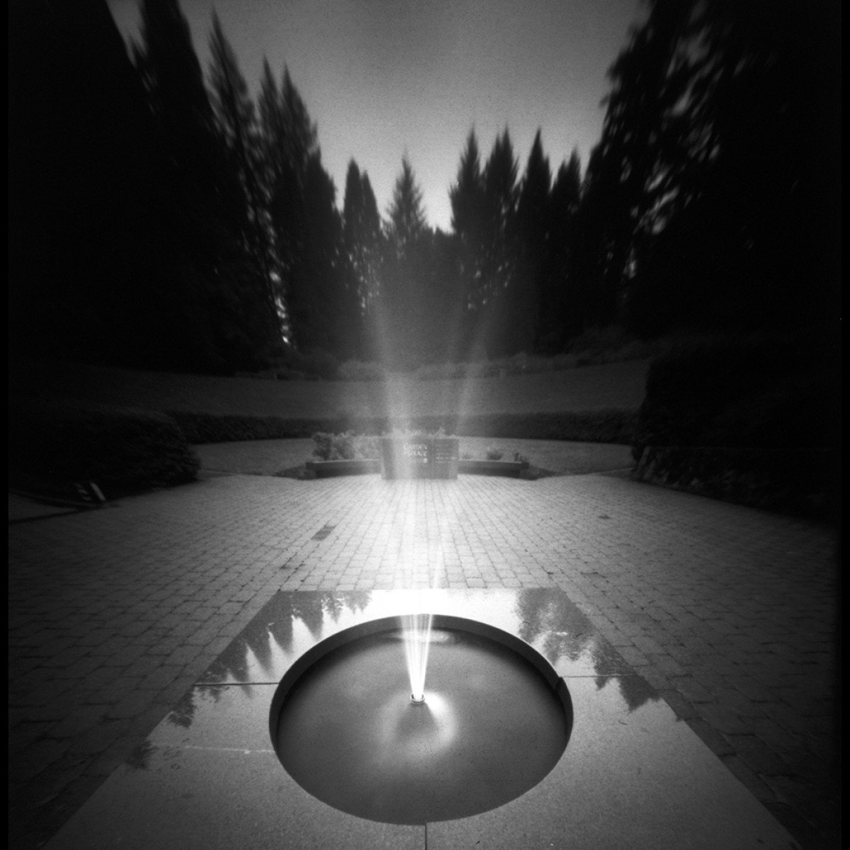 Rollei RPX 25 ISO Film - 120