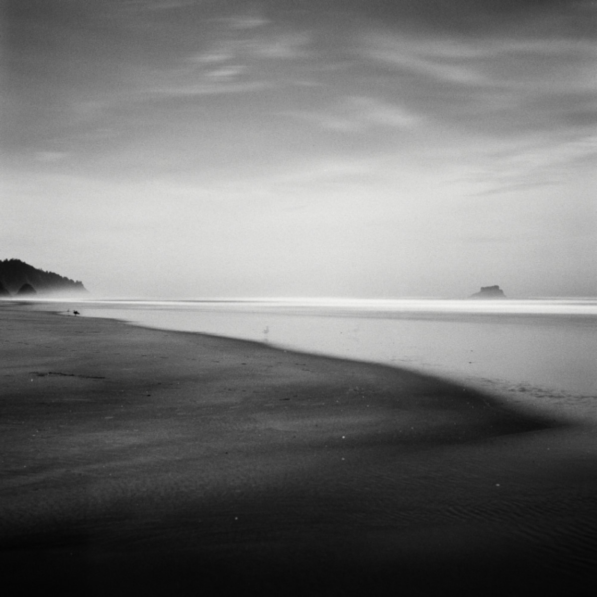 NLA - Santa Rae 1000 120 Film - Single Roll
