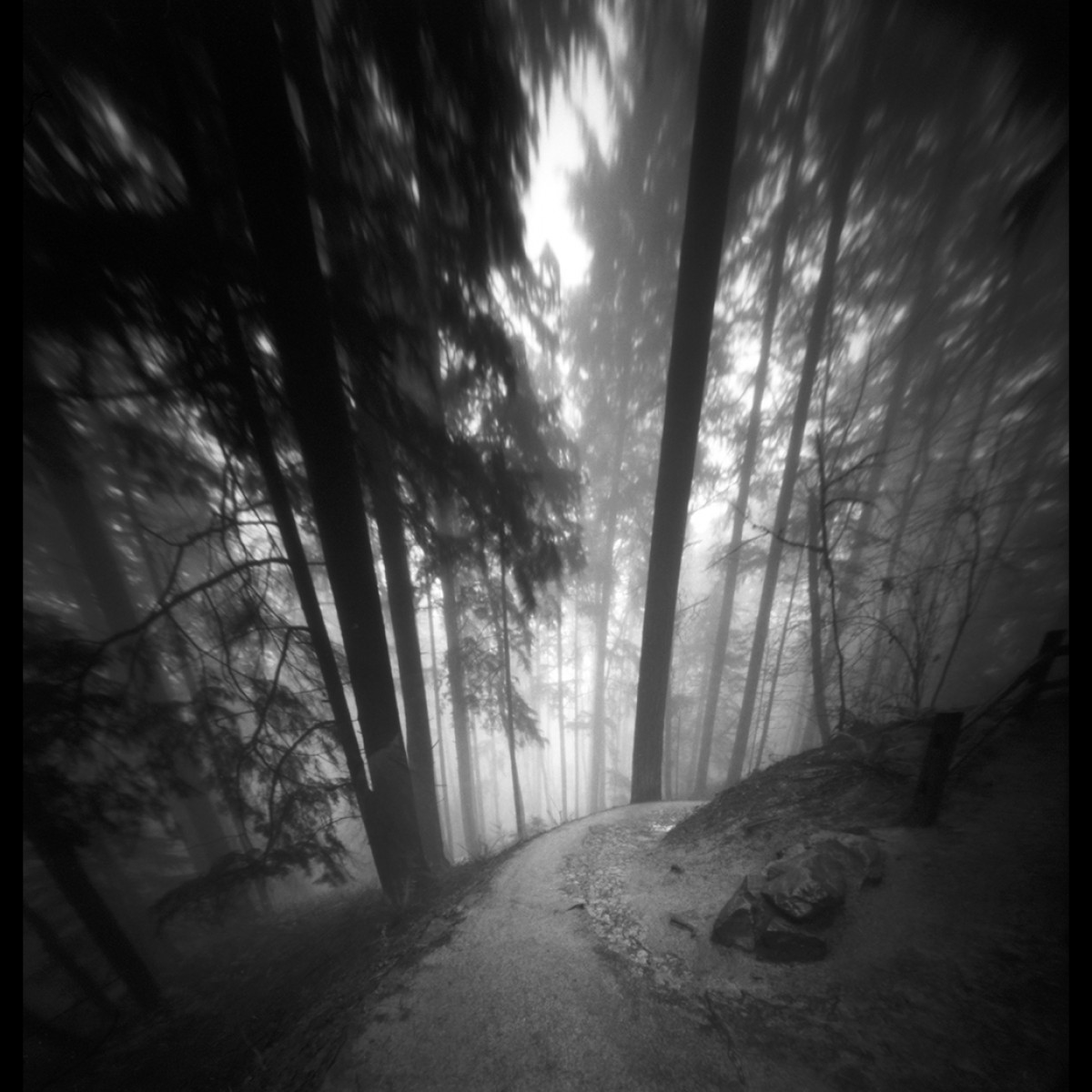 Ilford Pan F+ Film - 120