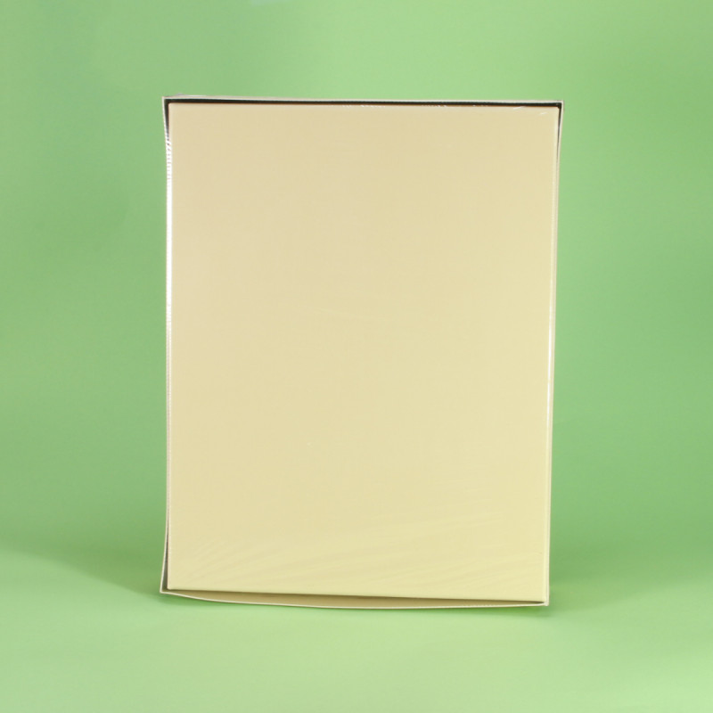 Print File Archival Tan Storage Box - 12x15