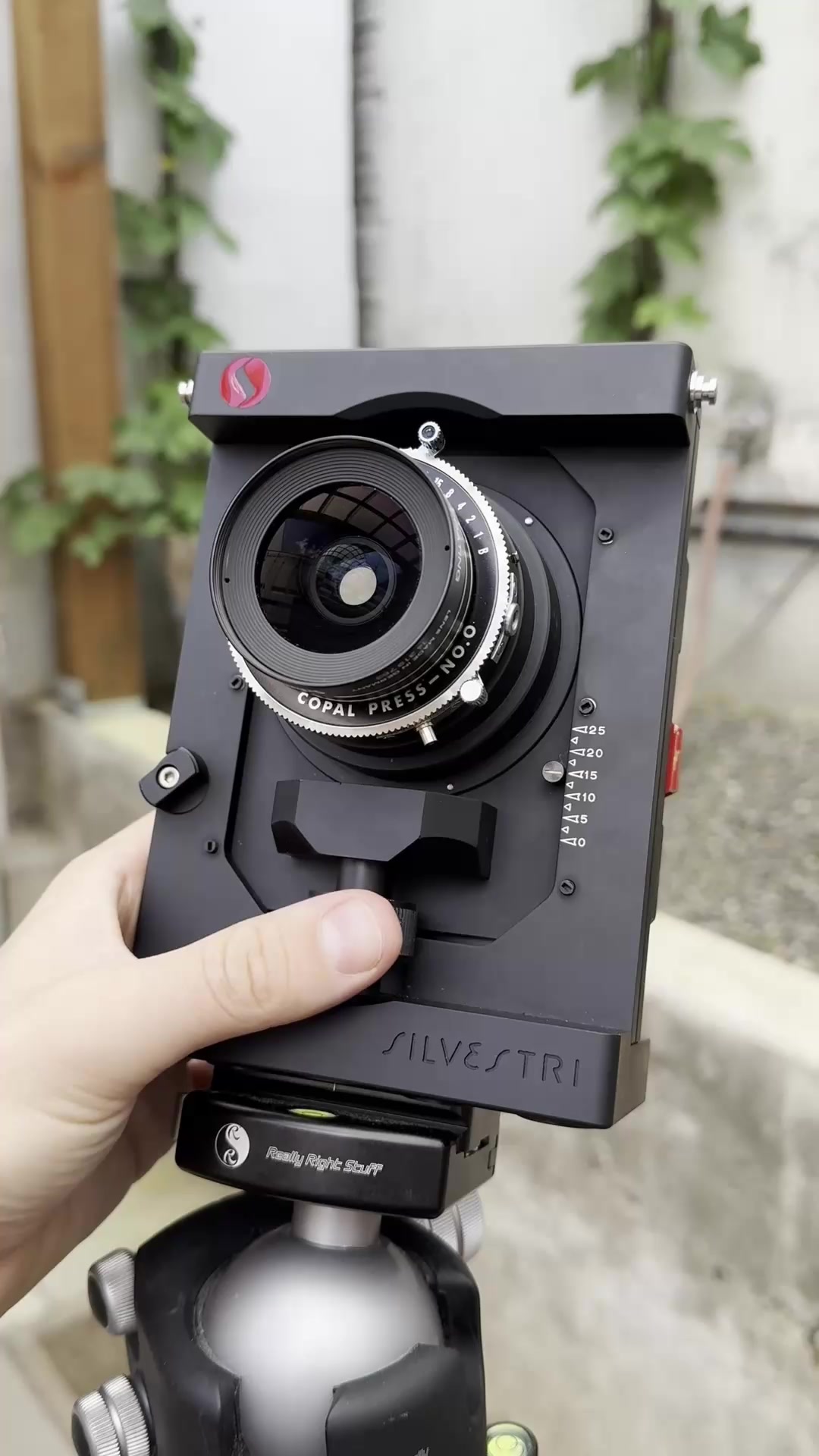 A Teaser Of An Early Model Silvestri SLV