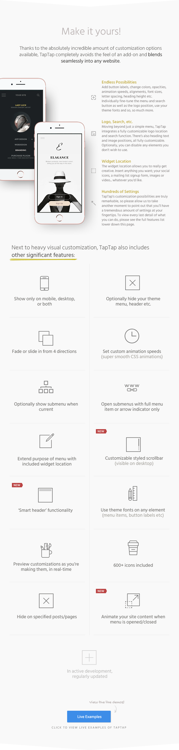 Features and customization details