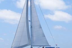 2010 Bruce Roberts 432B