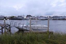1994 Sea Ray 310 Amberjack