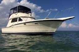 1986 Hatteras 36 Convertible