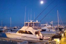 1986 Ocean Yachts 55 SUPERSPORT
