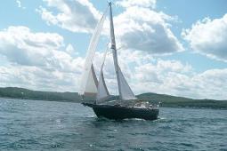 1981 Young Sun Cutter