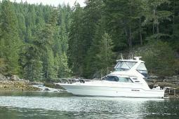 1988 Sea Ray 430 Convertible