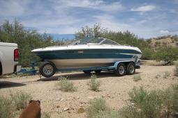 1995 Sea Ray 200 BR