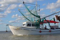 2014 Lafitte 58 Terrebonne