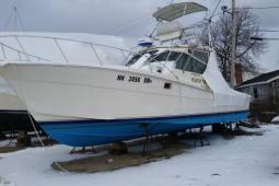 1988 Topaz Sportfish Canyon Runner